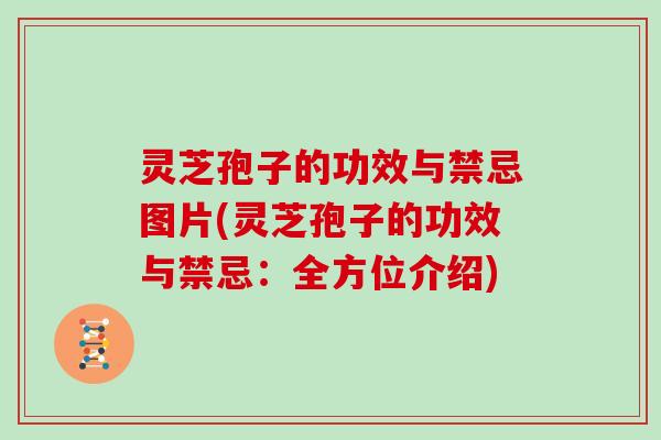 灵芝孢子的功效与禁忌图片(灵芝孢子的功效与禁忌：全方位介绍)