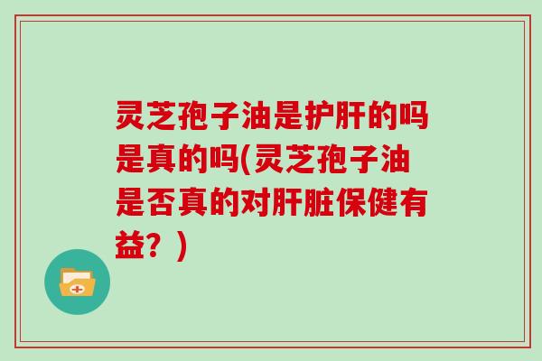 灵芝孢子油是护肝的吗是真的吗(灵芝孢子油是否真的对肝脏保健有益?)