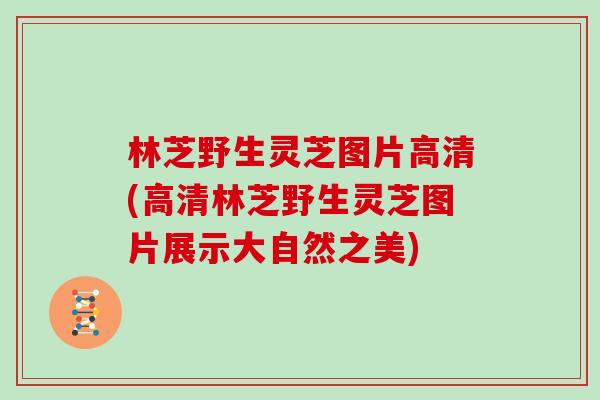 林芝野生灵芝图片高清(高清林芝野生灵芝图片展示大自然之美)