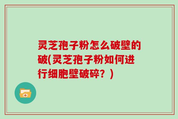 灵芝孢子粉怎么破壁的破(灵芝孢子粉如何进行细胞壁破碎?)