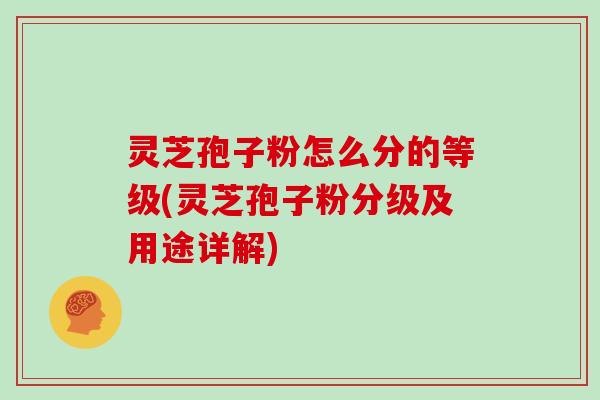 灵芝孢子粉怎么分的等级(灵芝孢子粉分级及用途详解)