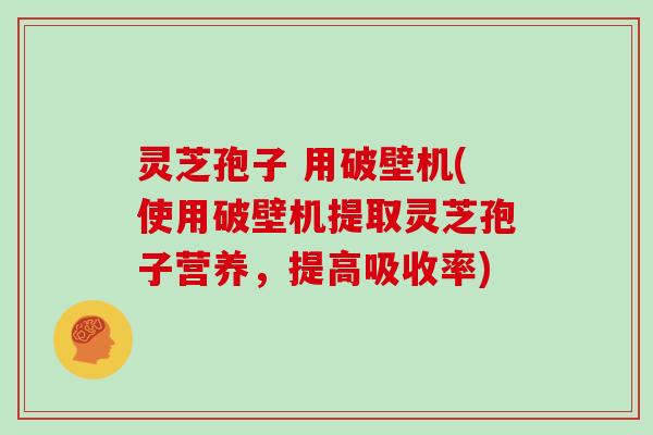 灵芝孢子 用破壁机(使用破壁机提取灵芝孢子营养，提高吸收率)