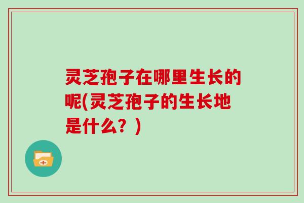灵芝孢子在哪里生长的呢(灵芝孢子的生长地是什么?)