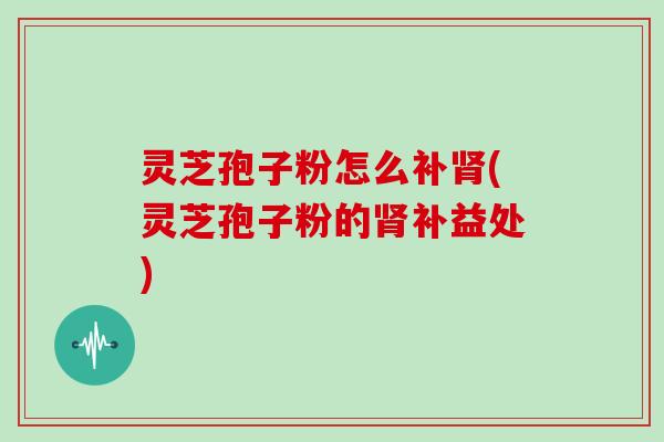 灵芝孢子粉怎么补肾(灵芝孢子粉的肾补益处)