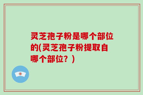 灵芝孢子粉是哪个部位的(灵芝孢子粉提取自哪个部位？)
