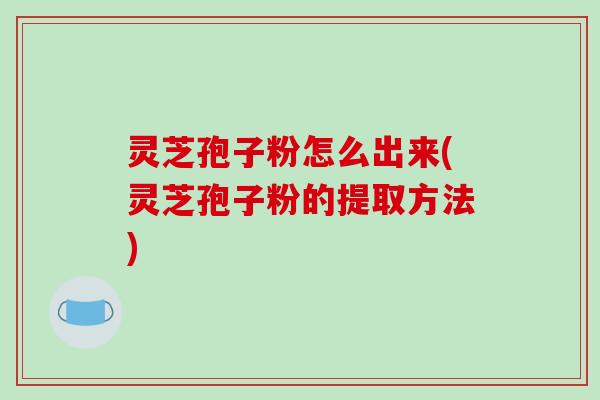 灵芝孢子粉怎么出来(灵芝孢子粉的提取方法)