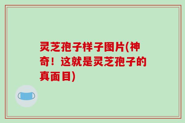灵芝孢子样子图片(神奇!这就是灵芝孢子的真面目)