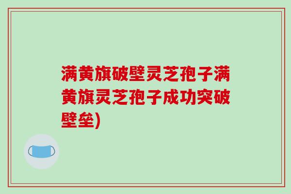 满黄旗破壁灵芝孢子满黄旗灵芝孢子成功突破壁垒)