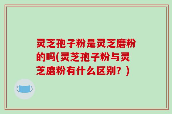灵芝孢子粉是灵芝磨粉的吗(灵芝孢子粉与灵芝磨粉有什么区别?)