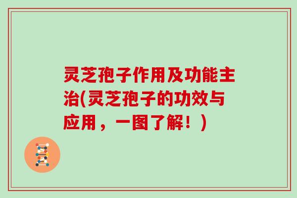 灵芝孢子作用及功能主治(灵芝孢子的功效与应用，一图了解！)