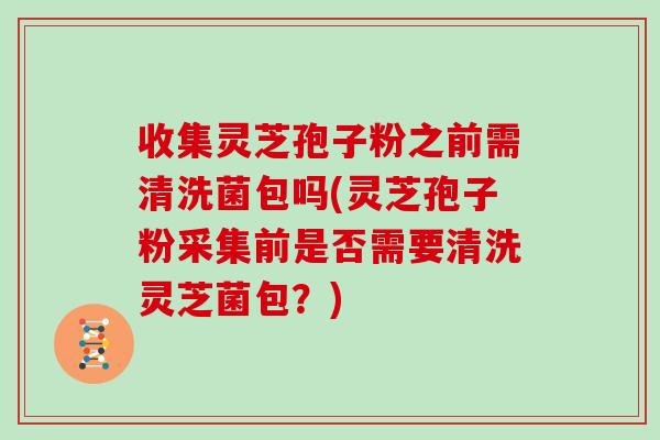 收集灵芝孢子粉之前需清洗菌包吗(灵芝孢子粉采集前是否需要清洗灵芝菌包？)