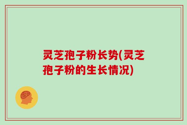 灵芝孢子粉长势(灵芝孢子粉的生长情况)