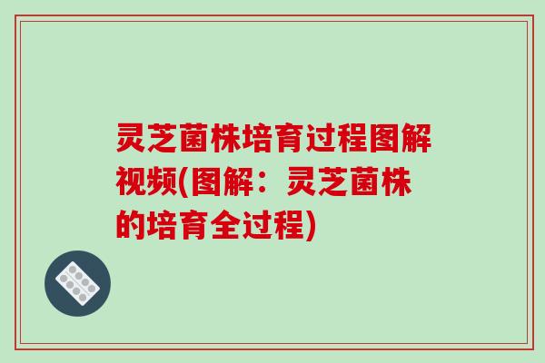 灵芝菌株培育过程图解视频(图解：灵芝菌株的培育全过程)
