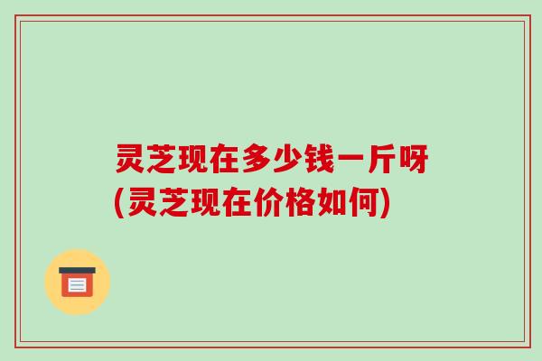 灵芝现在多少钱一斤呀(灵芝现在价格如何)