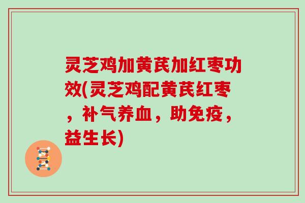 灵芝鸡加黄芪加红枣功效(灵芝鸡配黄芪红枣,补气养血,助免疫,益生长)