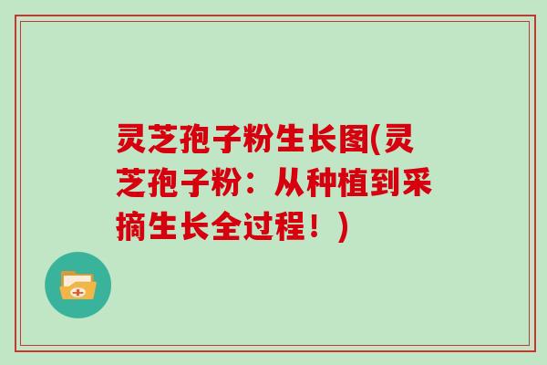 灵芝孢子粉生长图(灵芝孢子粉:从种植到采摘生长全过程!)