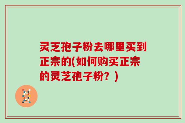 灵芝孢子粉去哪里买到正宗的(如何购买正宗的灵芝孢子粉？)