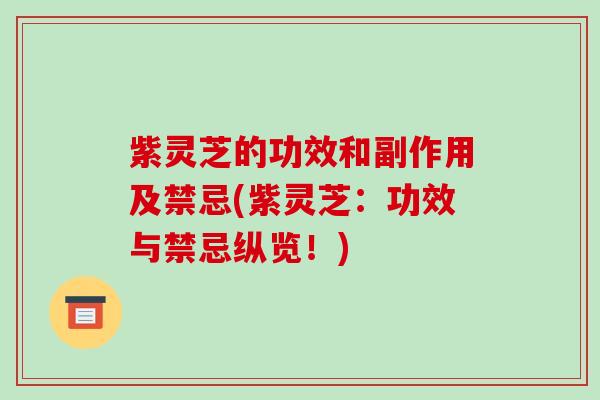 紫灵芝的功效和副作用及禁忌(紫灵芝:功效与禁忌纵览!)