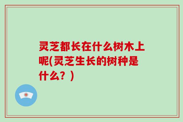 灵芝都长在什么树木上呢(灵芝生长的树种是什么?)