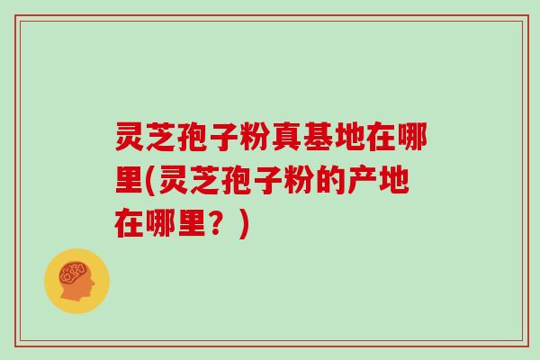 灵芝孢子粉真基地在哪里(灵芝孢子粉的产地在哪里?)