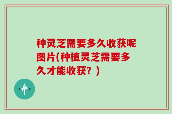 种灵芝需要多久收获呢图片(种植灵芝需要多久才能收获?)