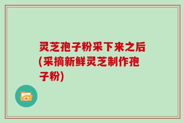 灵芝孢子粉采下来之后(采摘新鲜灵芝制作孢子粉)