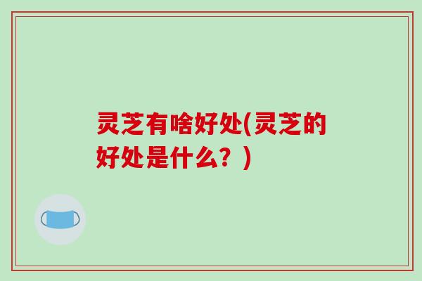 灵芝有啥好处(灵芝的好处是什么？)