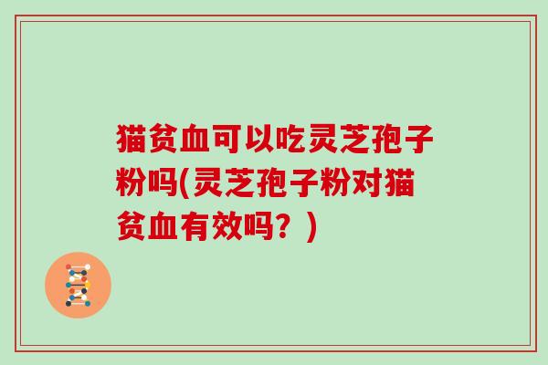 猫贫血可以吃灵芝孢子粉吗(灵芝孢子粉对猫贫血有效吗？)
