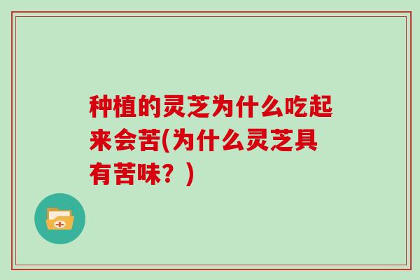种植的灵芝为什么吃起来会苦(为什么灵芝具有苦味?)