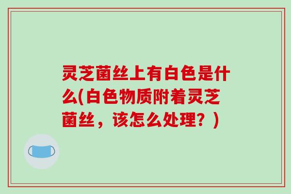 灵芝菌丝上有白色是什么(白色物质附着灵芝菌丝，该怎么处理？)