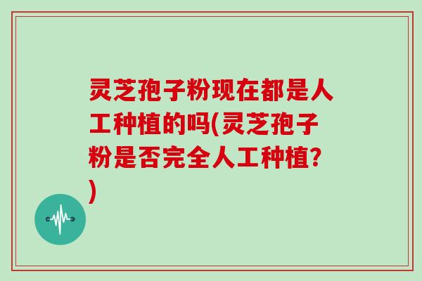灵芝孢子粉现在都是人工种植的吗(灵芝孢子粉是否完全人工种植?)