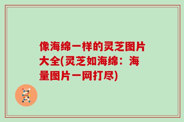像海绵一样的灵芝图片大全(灵芝如海绵:海量图片一网打尽)