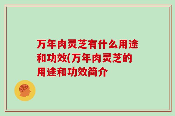 万年肉灵芝有什么用途和功效(万年肉灵芝的用途和功效简介