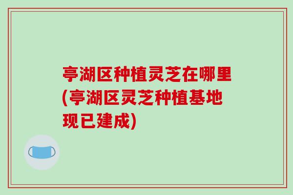 亭湖区种植灵芝在哪里(亭湖区灵芝种植基地现已建成)