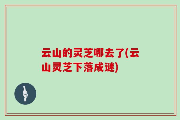 云山的灵芝哪去了(云山灵芝下落成谜)