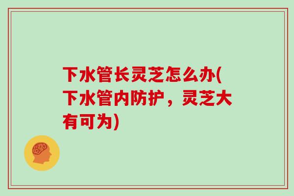 下水管长灵芝怎么办(下水管内防护,灵芝大有可为)