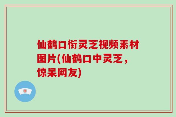 仙鹤口衔灵芝视频素材图片(仙鹤口中灵芝,惊呆网友)