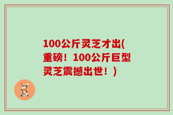 100公斤灵芝才出(重磅!100公斤巨型灵芝震撼出世!)