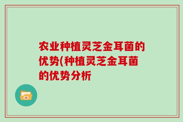 农业种植灵芝金耳菌的优势(种植灵芝金耳菌的优势分析