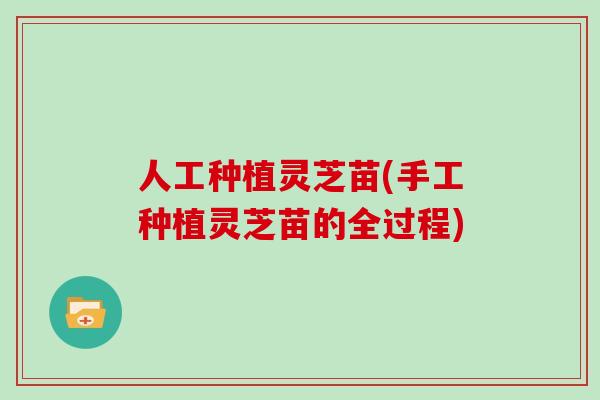 人工种植灵芝苗(手工种植灵芝苗的全过程)
