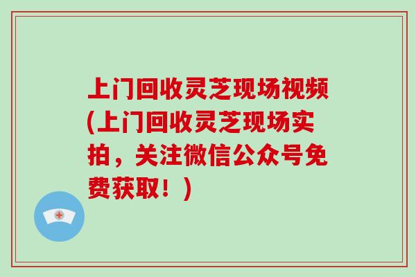 上门回收灵芝现场视频(上门回收灵芝现场实拍,关注微信公众号免费获取!)