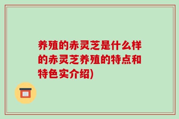 养殖的赤灵芝是什么样的赤灵芝养殖的特点和特色实介绍)