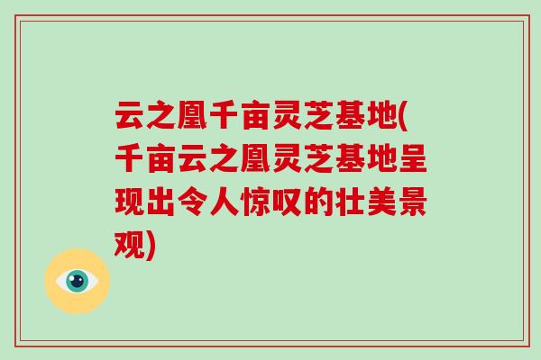 云之凰千亩灵芝基地(千亩云之凰灵芝基地呈现出令人惊叹的壮美景观)
