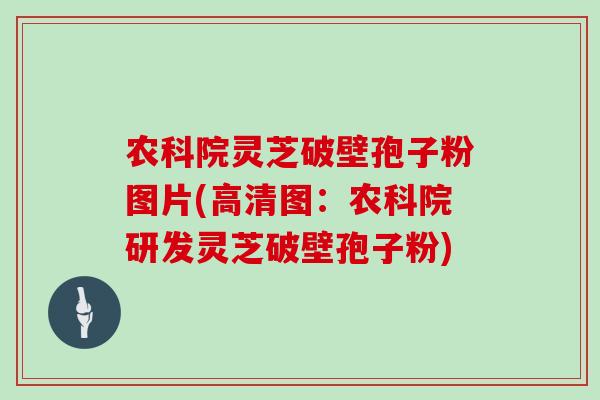 农科院灵芝破壁孢子粉图片(高清图:农科院研发灵芝破壁孢子粉)