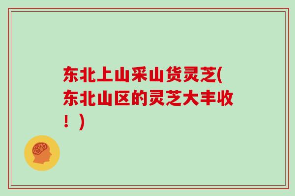 东北上山采山货灵芝(东北山区的灵芝大丰收！)