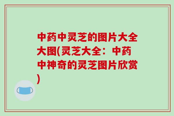 中药中灵芝的图片大全大图(灵芝大全：中药中神奇的灵芝图片欣赏)