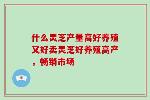 什么灵芝产量高好养殖又好卖灵芝好养殖高产,畅销市场