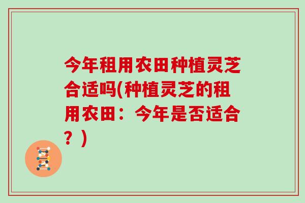 今年租用农田种植灵芝合适吗(种植灵芝的租用农田:今年是否适合?)