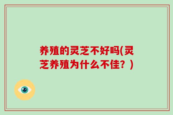 养殖的灵芝不好吗(灵芝养殖为什么不佳？)