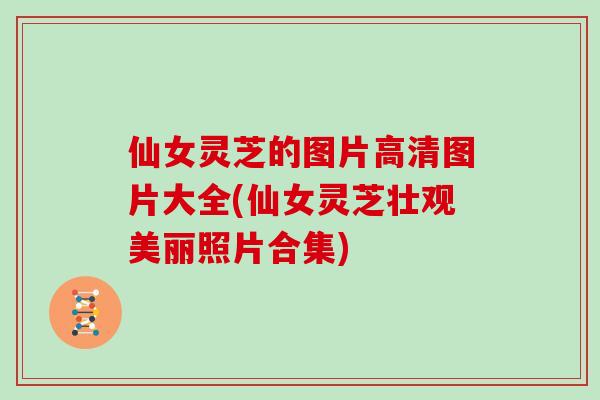 仙女灵芝的图片高清图片大全(仙女灵芝壮观美丽照片合集)